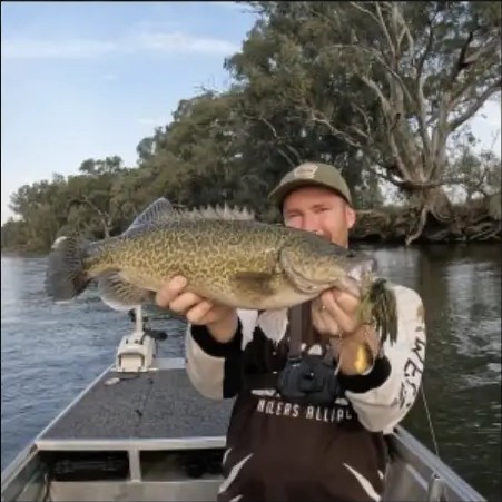 Fish caught on a Gangster Lures spinnerbait