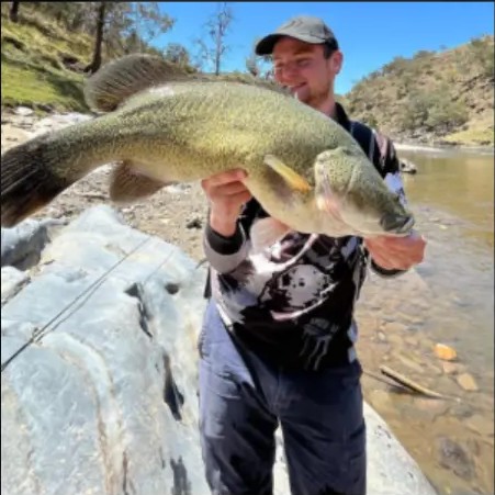 Fish caught on a Gangster Lures spinnerbait