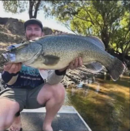 Fish caught on a Gangster Lures spinnerbait